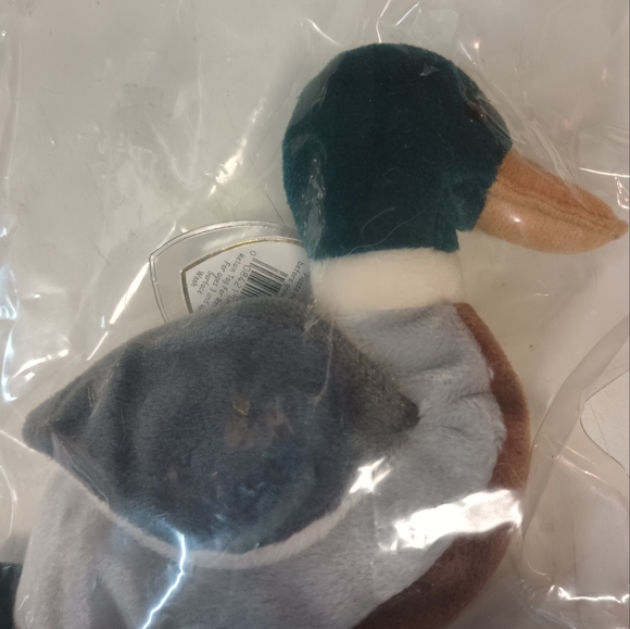 Jake is a mint condition beaine baby' whith tag errors in the writing - Picture 5 of 6